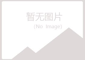 青岛崂山煽情能源有限公司